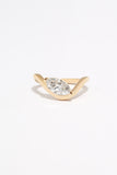 Shawn Ring